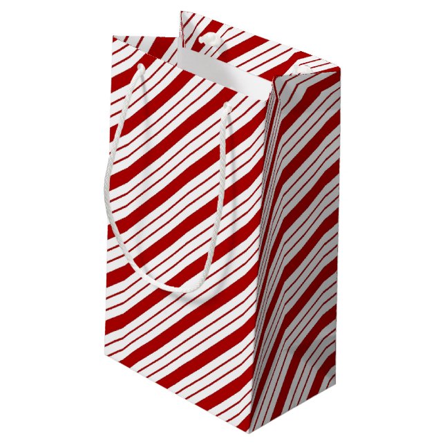 Holiday Gift Bag (Back Angled)