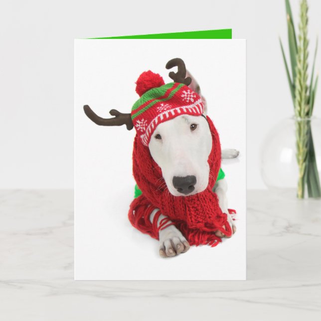 Holiday Greeting Card-one eared Bull Terrier Card (Front)