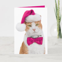 Holiday Greeting Card-Spunky Kitty
