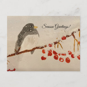 Holiday Greeting Postcard