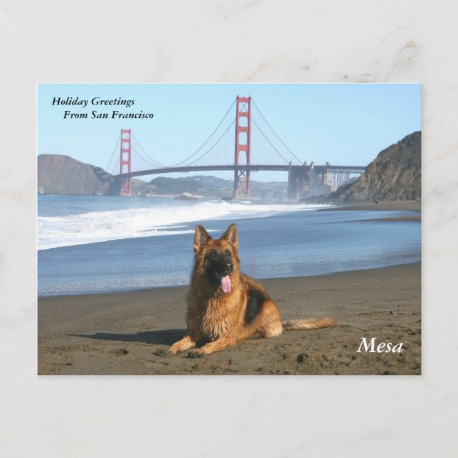 Holiday Greetings from San Francisco Postcard (Front)