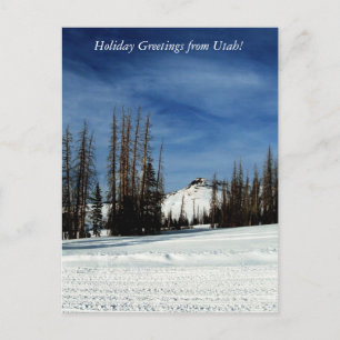 Holiday Greetings from Utah! Postcard