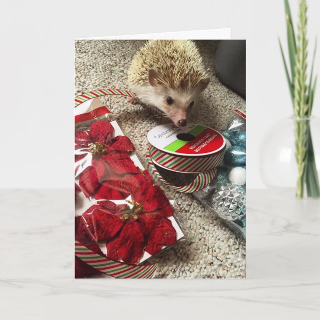 Holiday Hedgehog Funny Christmas Card (Front)