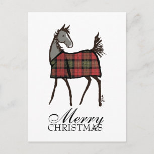 Holiday Horse Foal with Blanket Christmas Postcard