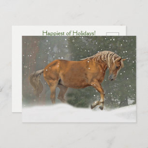 Holiday Horse in Snow Postcard