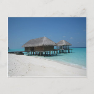 Holiday in Maldives Postcard