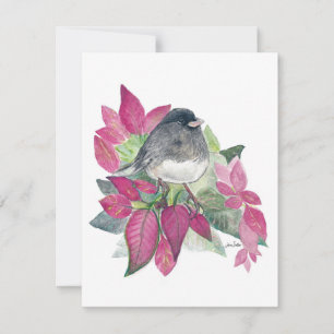 Holiday Junco Bird Art