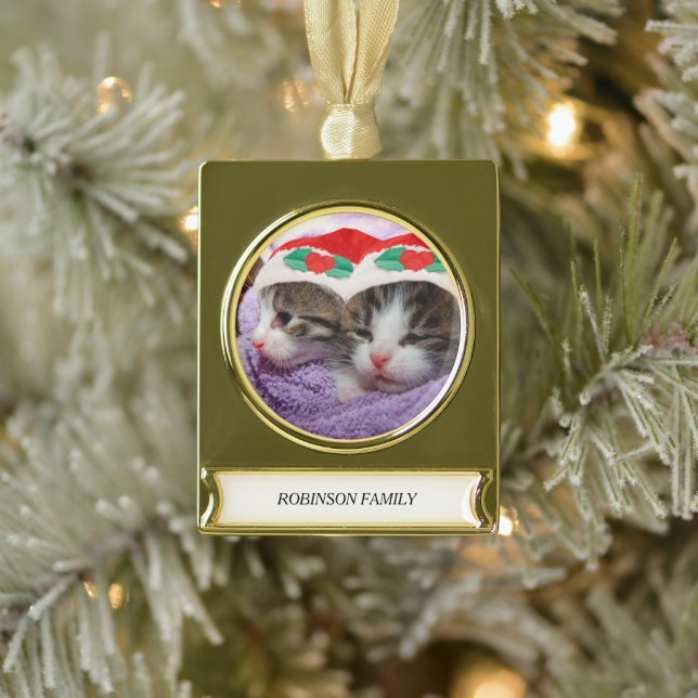 Holiday Kittens Wearing Red Santa Hats Family Name Gold Plated Banner Ornament (Tree)
