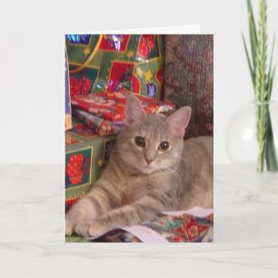 Holiday Kitty Card