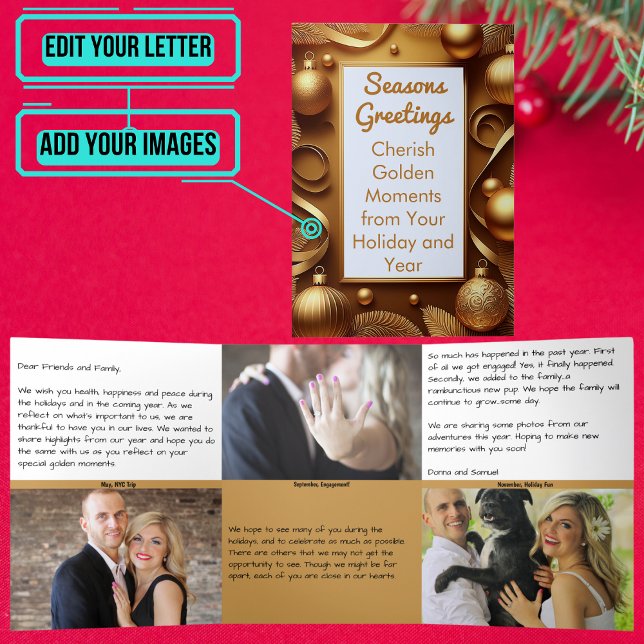 Holiday Letter with Photo - Golden Moments Tri-Fold Invitation (Please enjoy our holiday letter.)