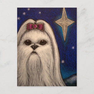 HOLIDAY MALTESE DOG - BELEN STAR 1 POSTCARD