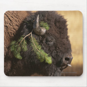 Holiday Mischief Mouse Pad