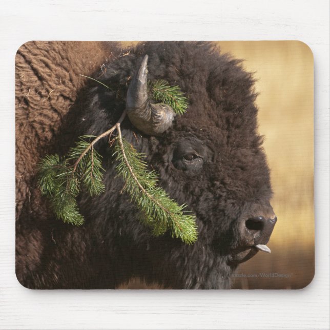 Holiday Mischief Mouse Pad (Front)