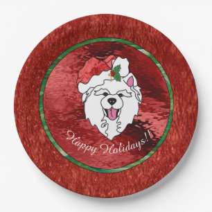 Holiday Paper Plate Sammy Claus