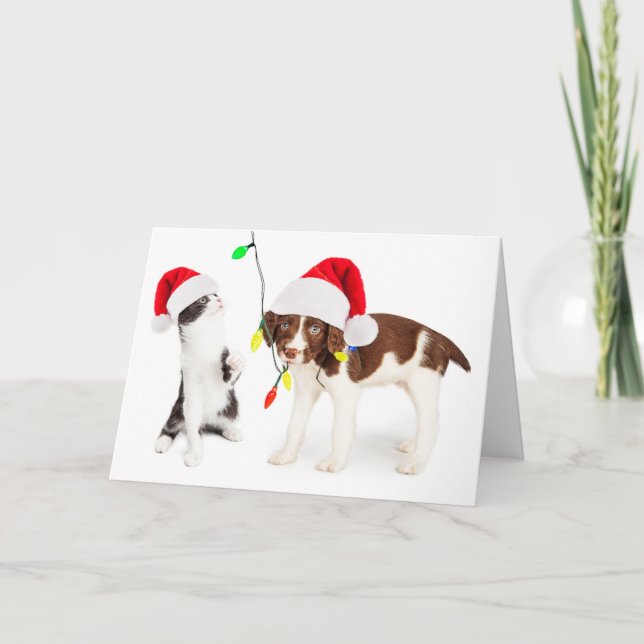 Holiday Pet Mischief Card (Front)