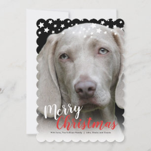 Holiday Photo Card   Doggie Love