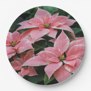Holiday Poinsettia Paper Plates