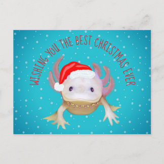 Holiday Postcard