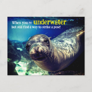 Holiday Postcard