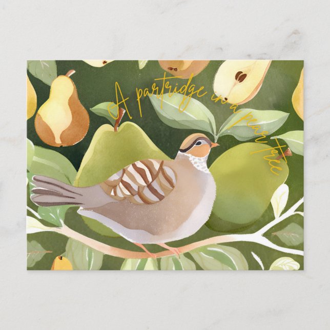 Holiday Postcard (Front)