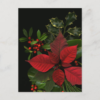 Holiday Postcard