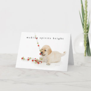 Holiday Puppy Playtime