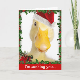 Holiday Quack Card