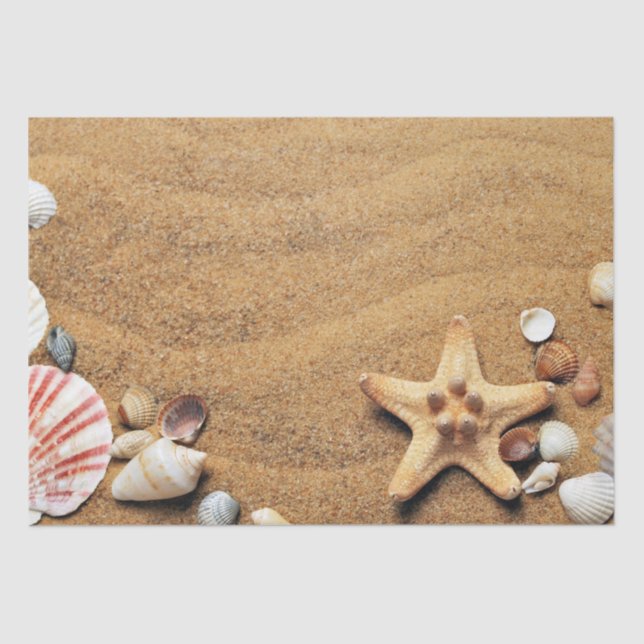 Holiday Seashells Beach  Tissue Paper (Front)