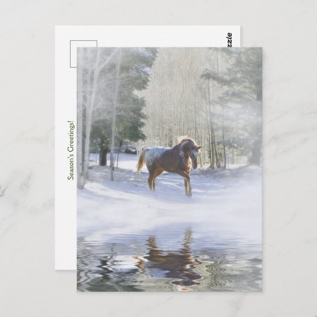 Holiday Seasons Greetings Horse in Snow Postcard (Front/Back)
