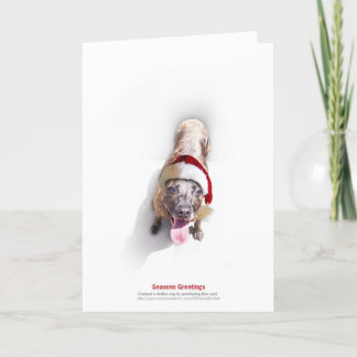 Holiday Shelter Dog 2 Card