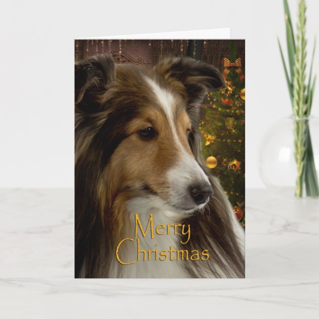 Holiday Sheltie Xmas Card (Front)