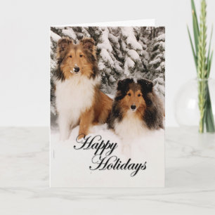 Holiday Shelties Card