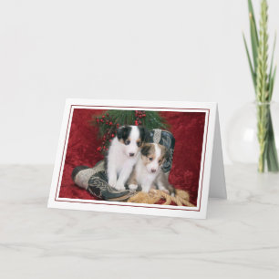 Holiday Shetland Sheepdog Puppies Card