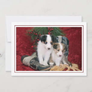 Holiday Shetland Sheepdog Puppies Card