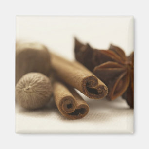 Holiday Spices Magnet