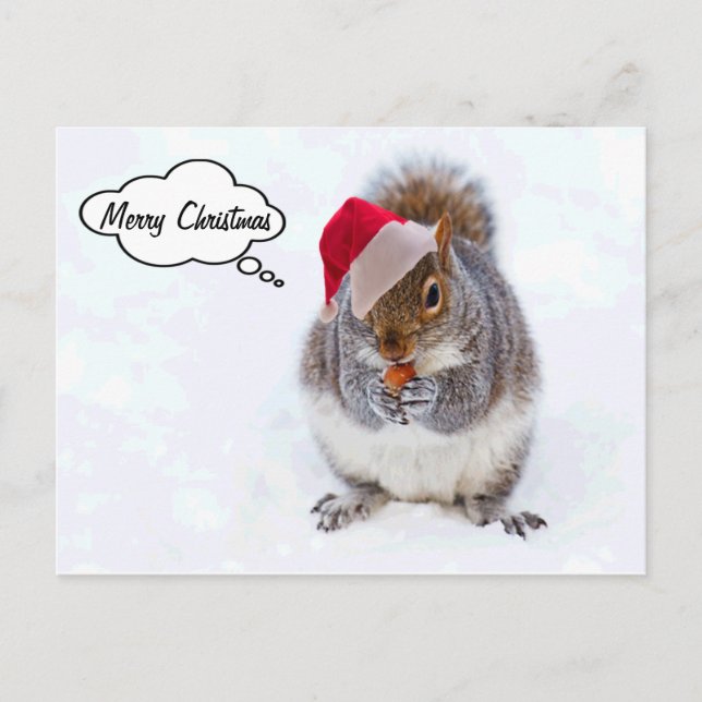 Holiday Squirrel (Front)