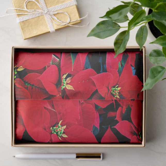Holiday Tissue Paper-Red Poinsettias Tissue Paper (Gift)