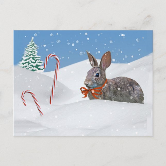 Holidays, Bunny Rabbit in Snow Holiday Postcard (Front)