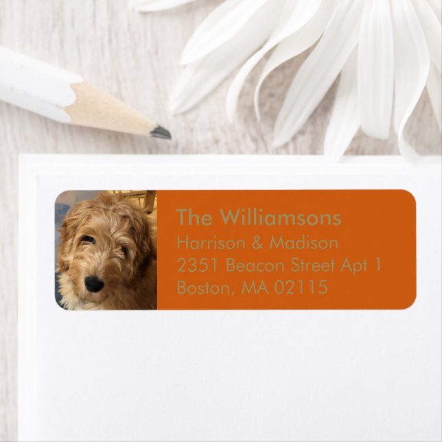 Holidays Custom family photo gold pumpkin spice (Insitu)