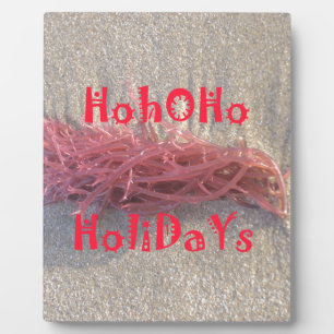 Holidays from the Beach Collection. Plaque