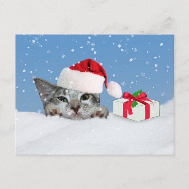 Holidays, Kitten in Santa Hat Holiday Postcard (Front)
