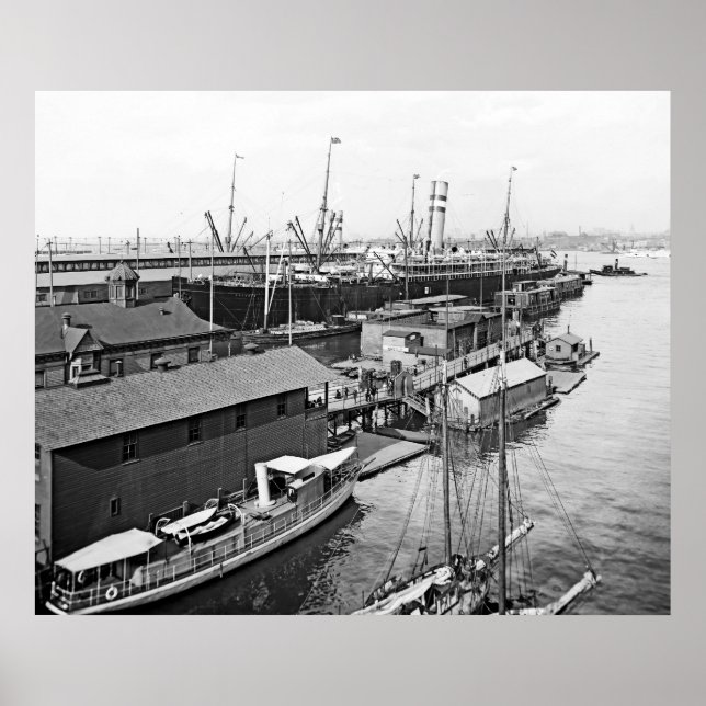 Holland America Line Poster (Front)