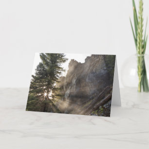 Holland Falls   Lolo National Forest, Montana Card