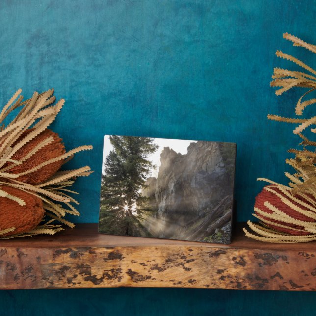 Holland Falls | Lolo National Forest, Montana Plaque (Side)