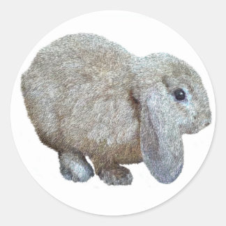 Holland Lop Ear Rabbit Stickers