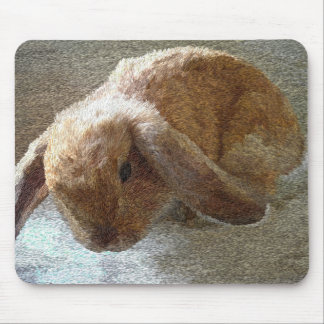 Holland Lop Eared Rabbit Mouse Pad