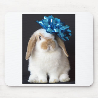 Holland Lop Mousepad