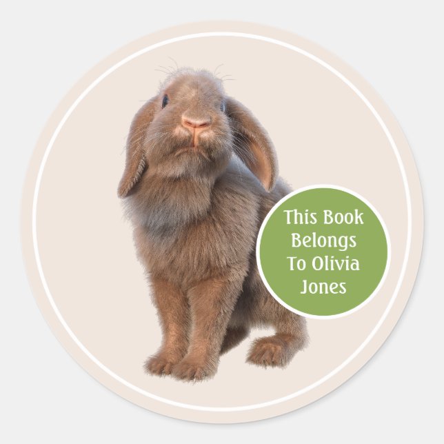 Holland Lop Rabbit Custom Bookplate Classic Round Sticker (Front)