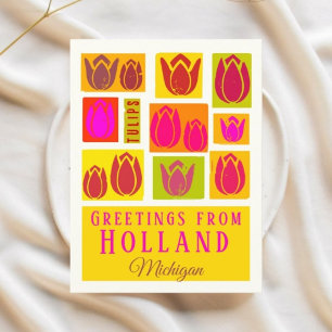 Holland Michigan USA Tulips  Postcard