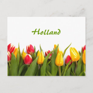 Holland, Spring Tulip Garden Postcard